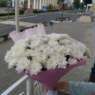 Цветы, букеты в Саранске - Магазин "Эквадор"